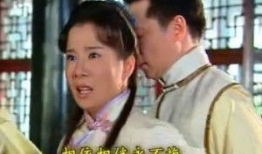 苦情剧催泪电视剧,苦情剧催泪电视剧深度解析